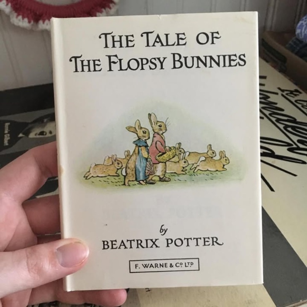 1987 The Tale of the Floppsy Bunnies book